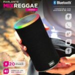 PARLANTE SOUL MIX REGGAE 20W XS850